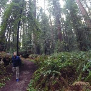 Meet your Posher, Todd